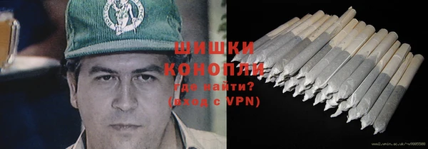 мдпв Володарск