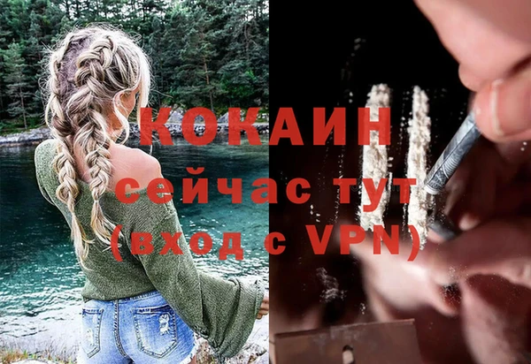 мдпв Володарск