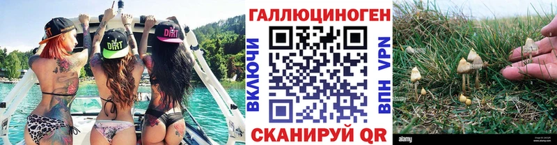 Псилоцибиновые грибы Cubensis  купить наркотик  Красногорск 