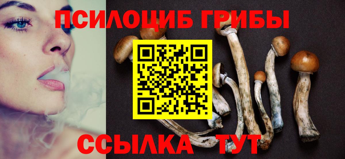 Псилоцибиновые грибы Psilocybine cubensis  Вход с VPN  Красногорск  Галлюциногенные грибы ЛСД 